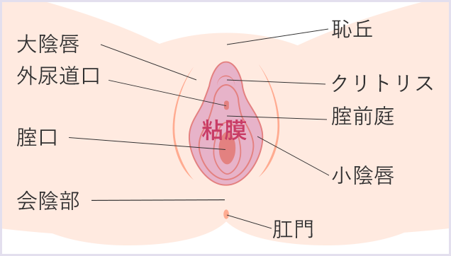 おしり かゆい カンジダ